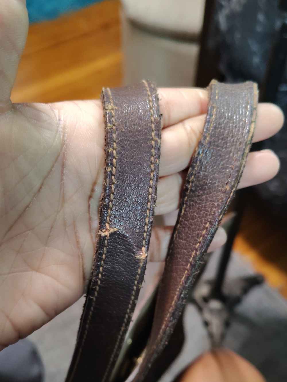 Gucci - Picture 6 of 14